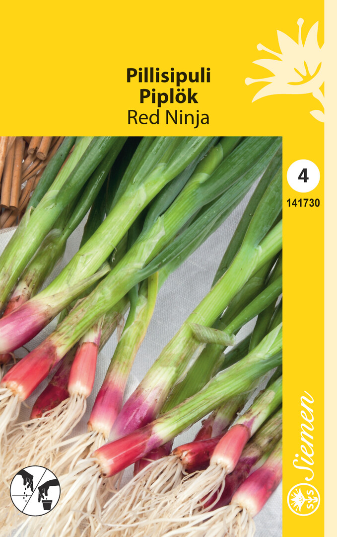 Pillisipuli eli talvisipuli Red Ninja