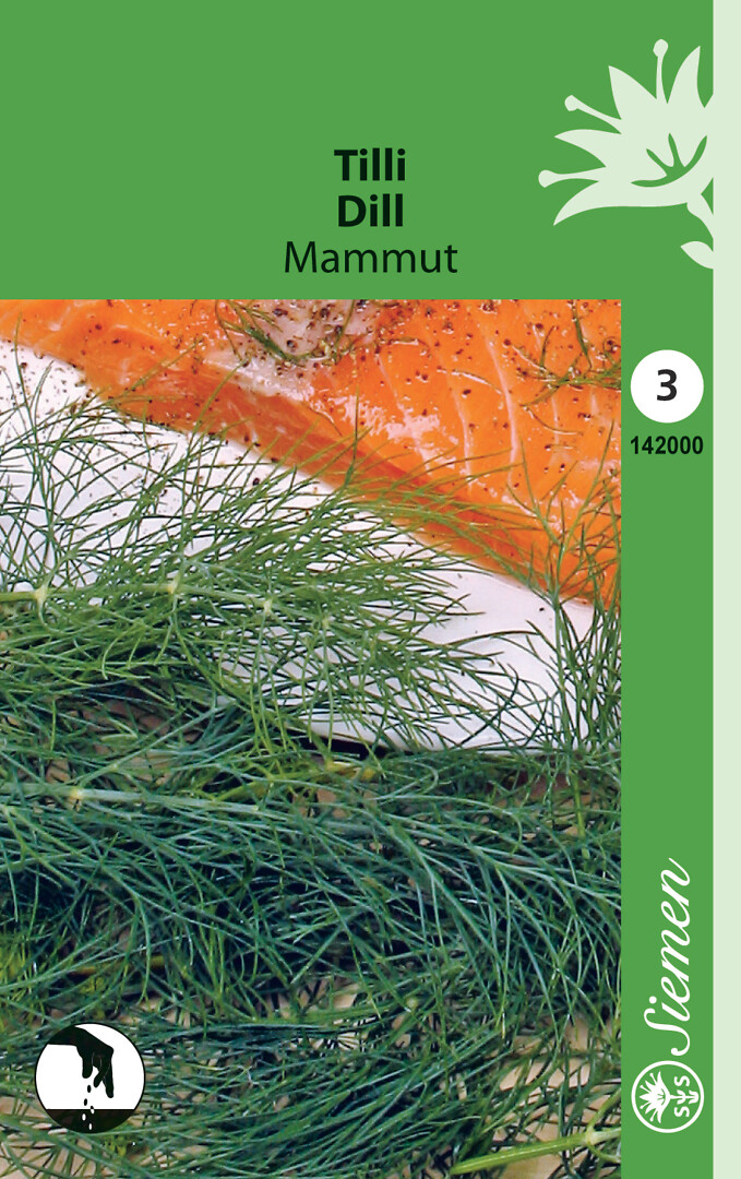 Tilli Mammut