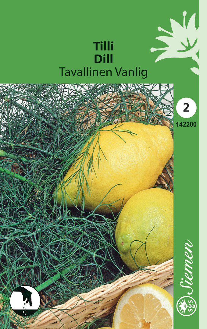 Tilli Tavallinen