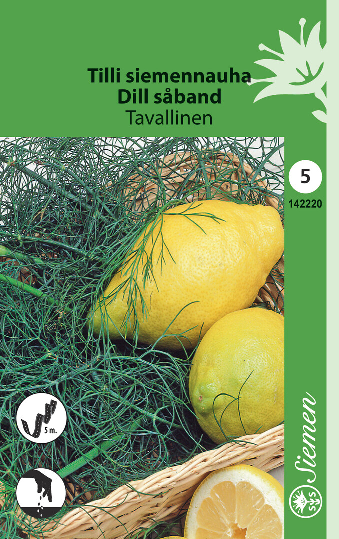 Siemennauha tilli tavallinen