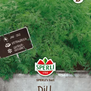 Tilli Sperli's Sari