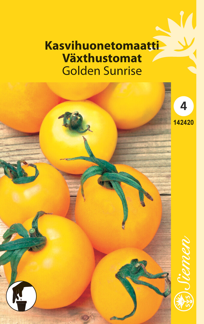 Kasvihuonetomaatti Golden Sunrise
