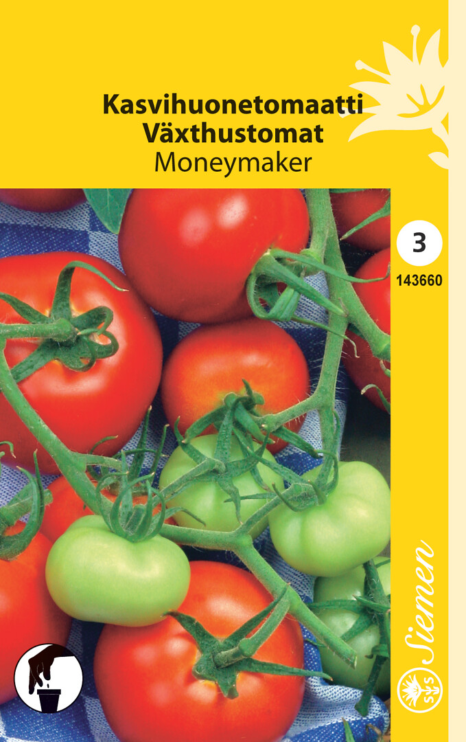 Kasvihuonetomaatti Moneymaker