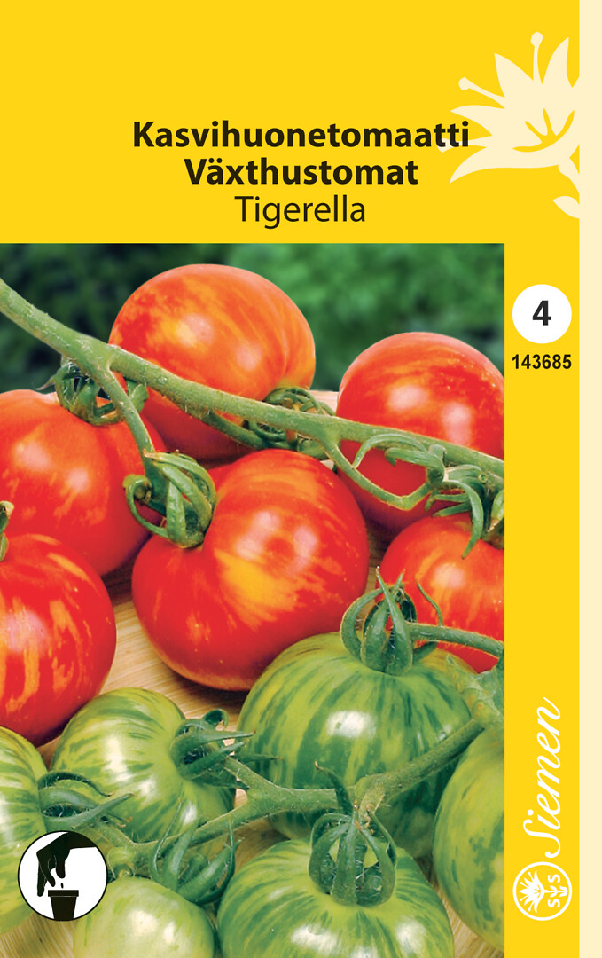 Kasvihuonetomaatti Tigerella