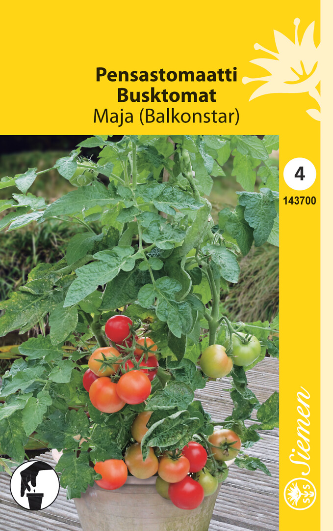 Pensastomaatti Maja (Balkonstar)