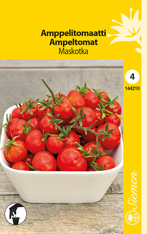 Amppelitomaatti Maskotka