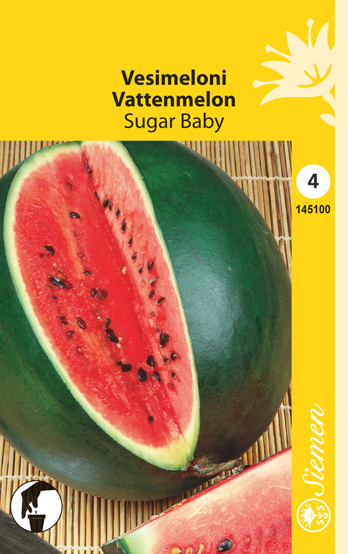 Vesimeloni Sugar Baby