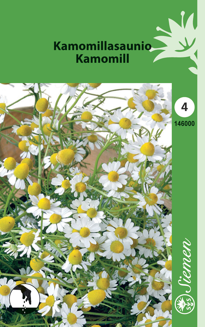 Kamomillasaunio