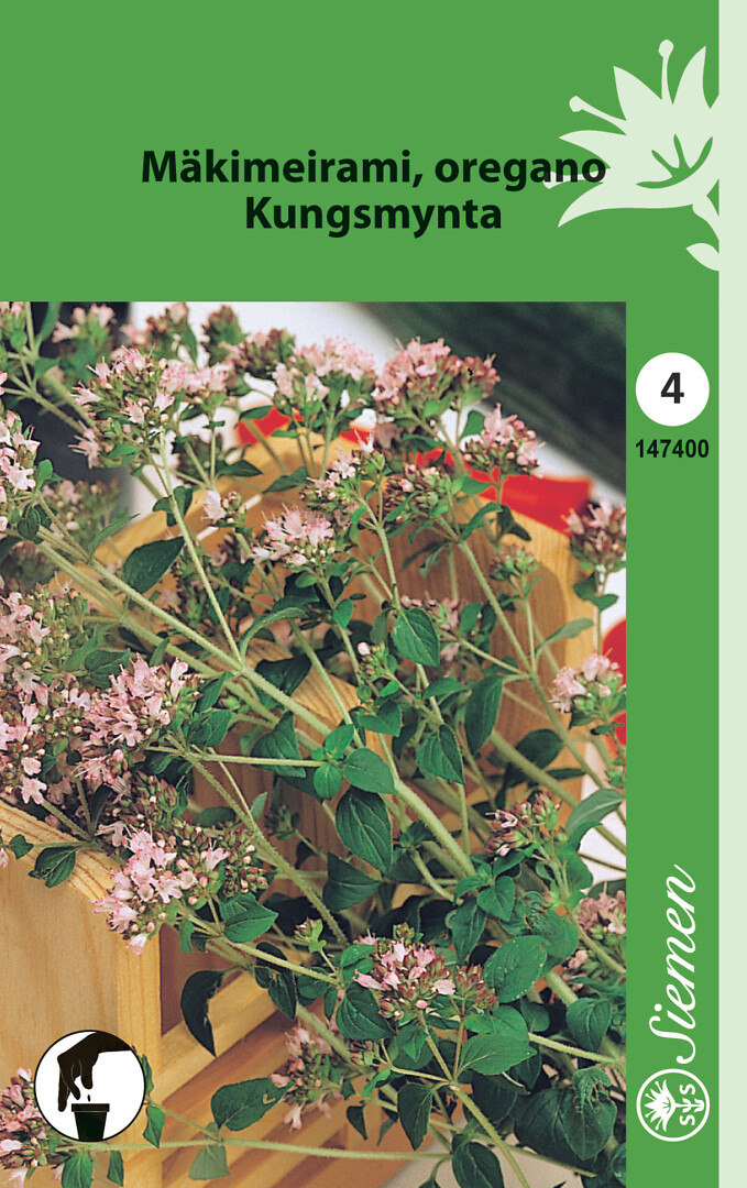 Mäkimeirami eli oregano