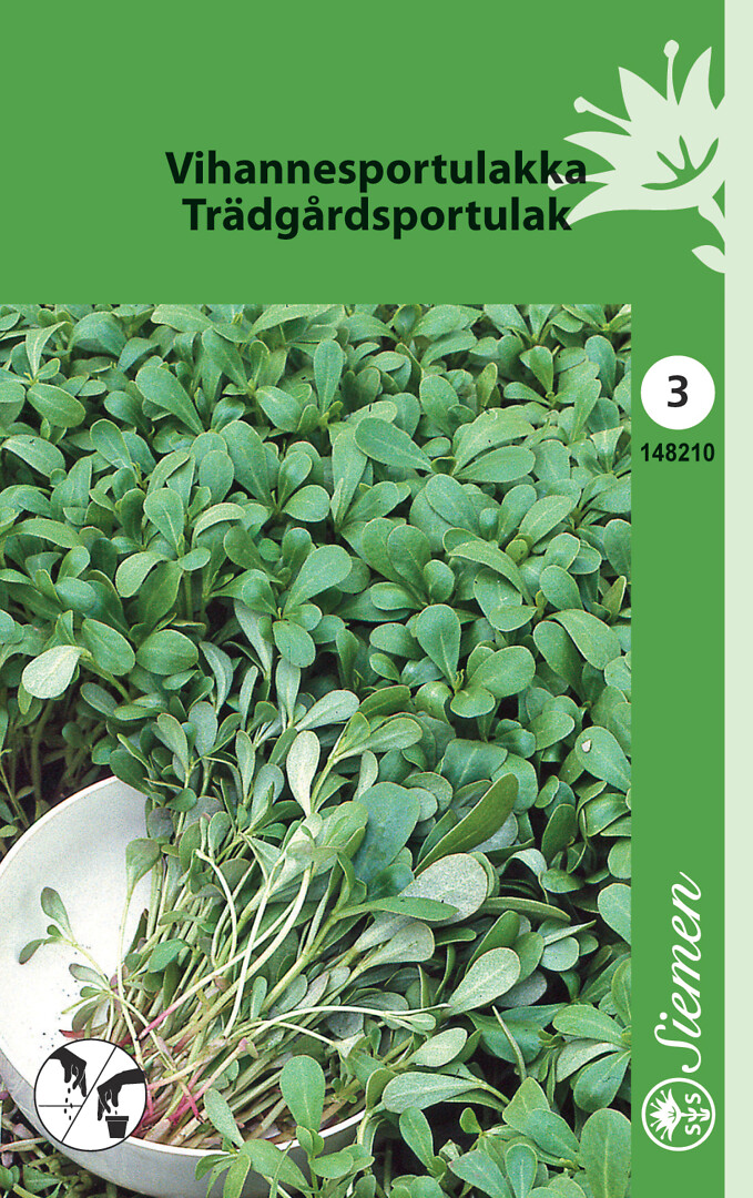 Vihannesportulakka