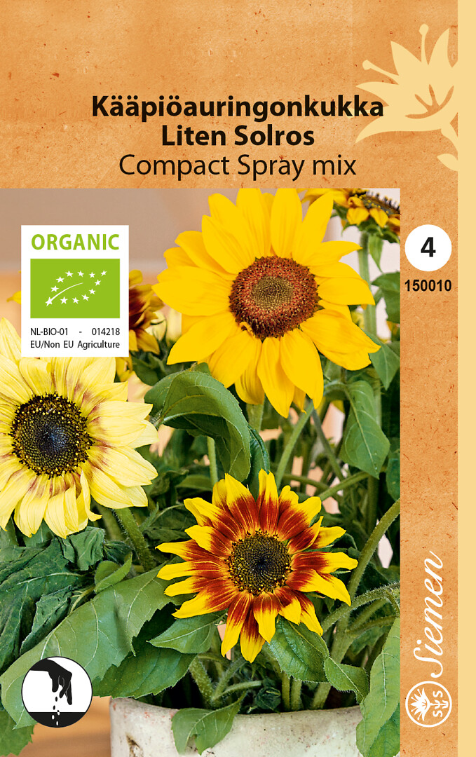 Luomu kääpiöauringonkukka Compact Spray mix