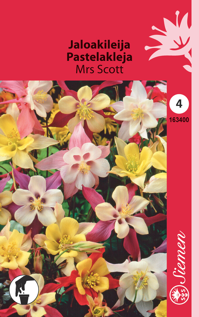 Jaloakileija Mrs Scott
