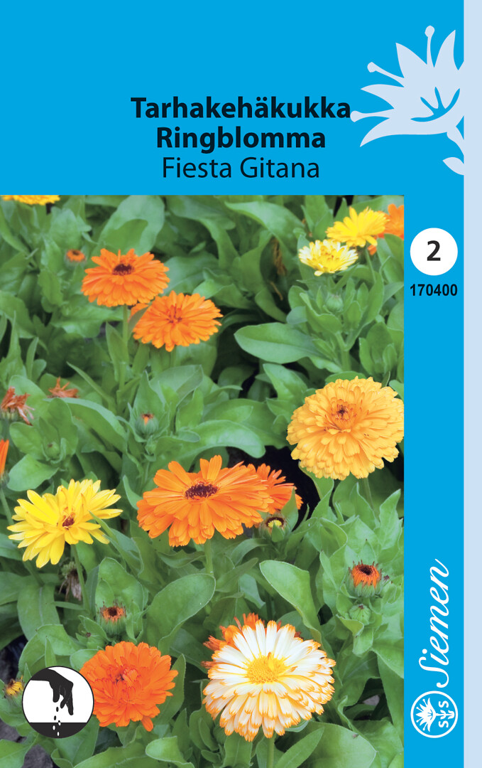 Tarhakehäkukka Fiesta Gitana