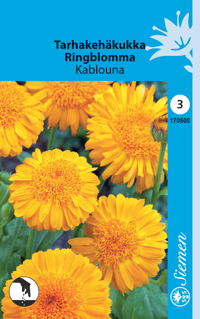 Tarhakehäkukka Kablouna
