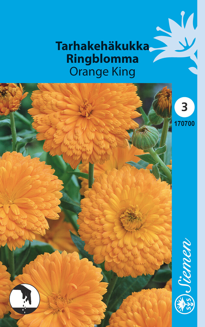 Tarhakehäkukka Orange King