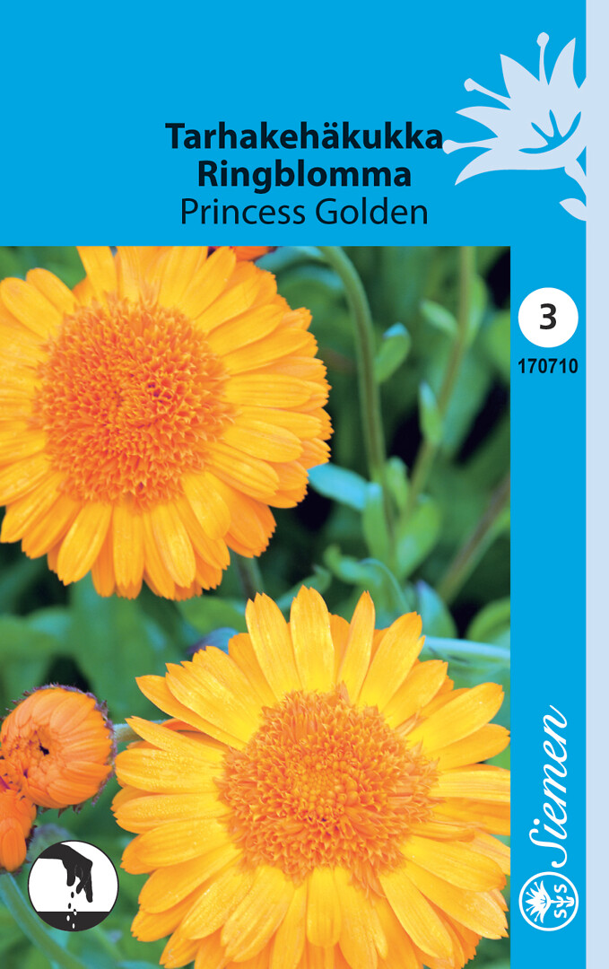 Tarhakehäkukka Princess Golden
