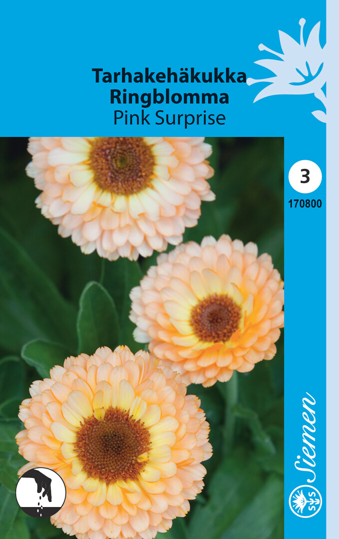 Tarhakehäkukka Pink Surprise