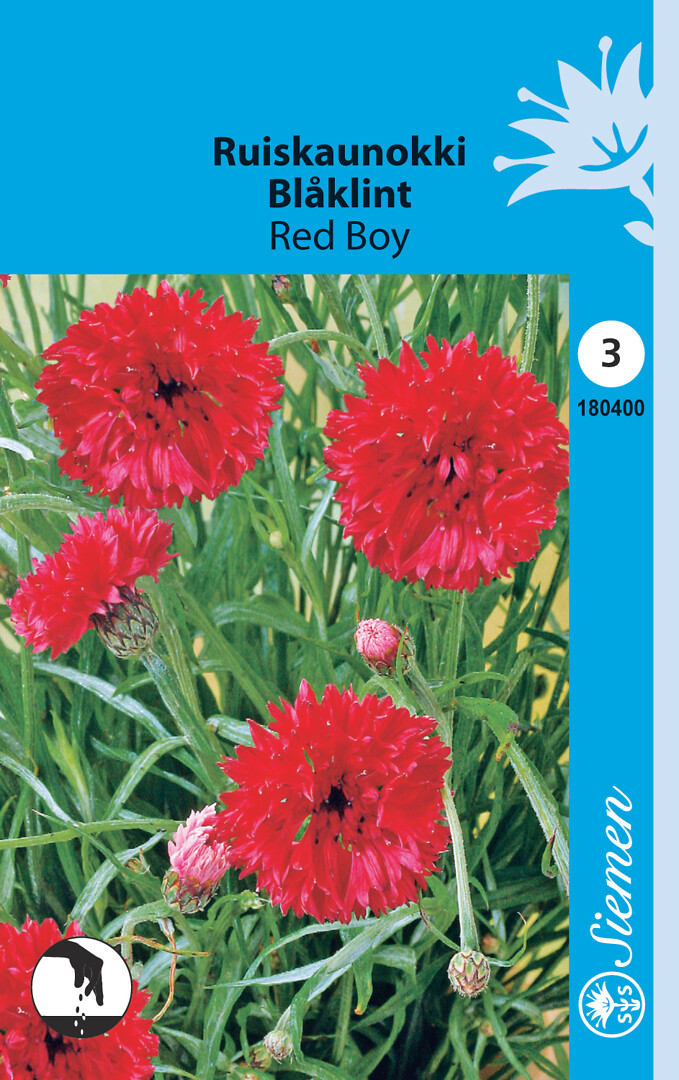 Ruiskaunokki Red Boy