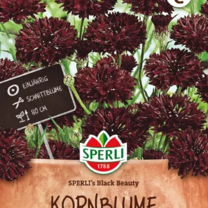 Ruiskaunokki Sperli's Black Beauty