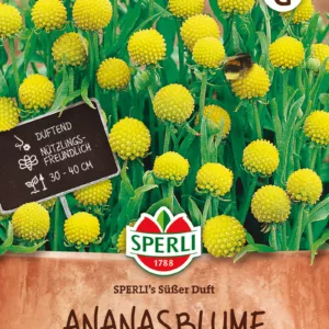 Tuoksusyyshohdekukka Sperli's Süsser Duft