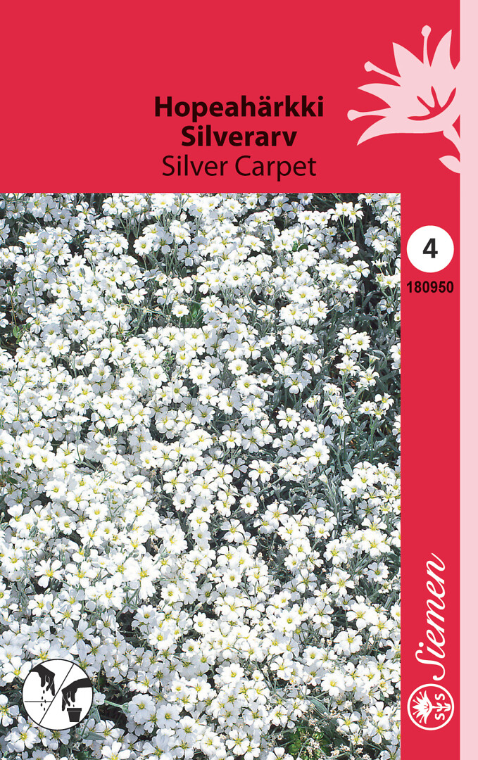Hopeahärkki Silver Carpet