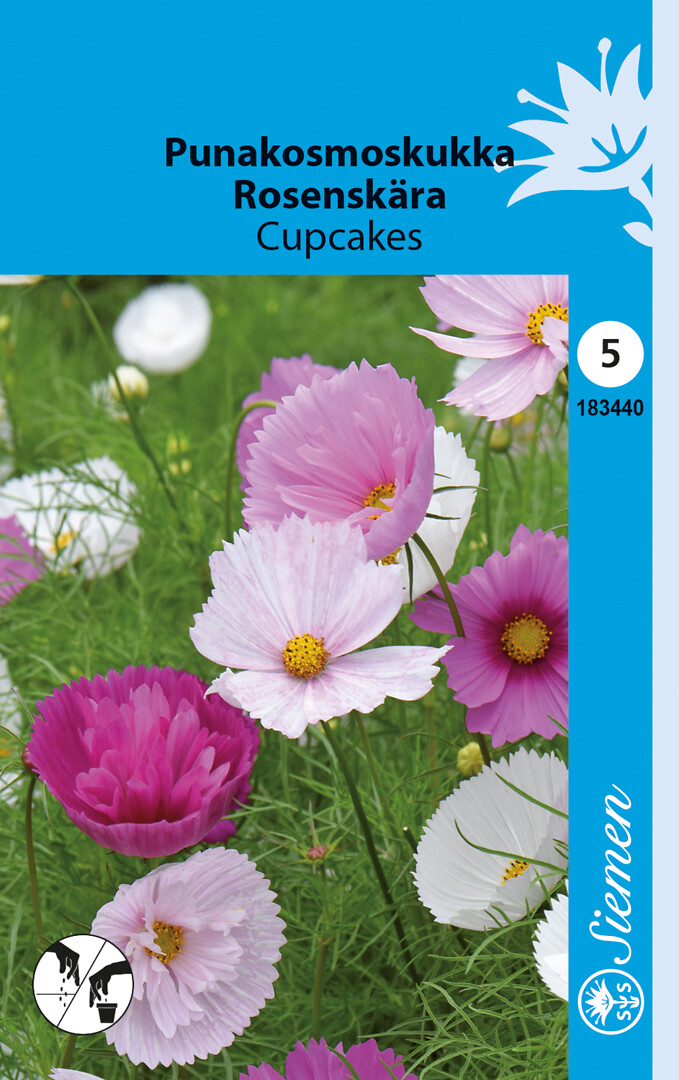 Punakosmos Cupcakes