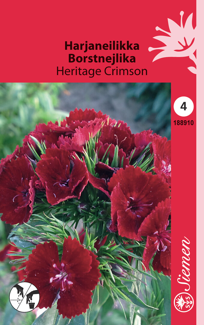 Harjaneilikka Heritage Crimson