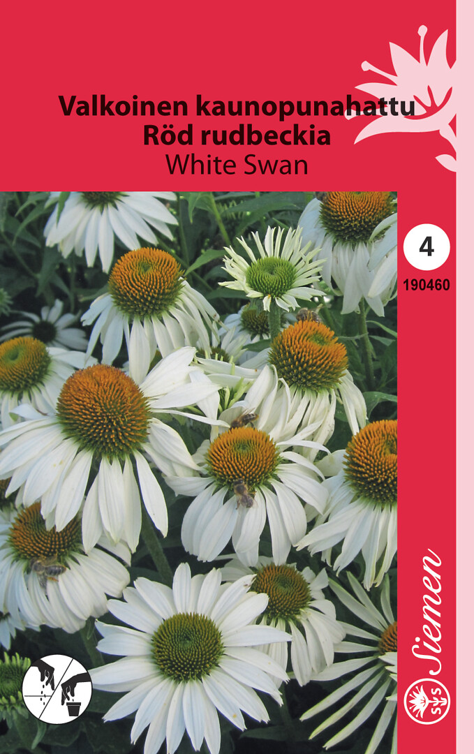 Kaunopunahattu White Swan