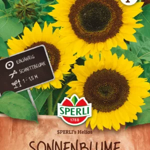 Isoauringonkukka Sperli's Helios