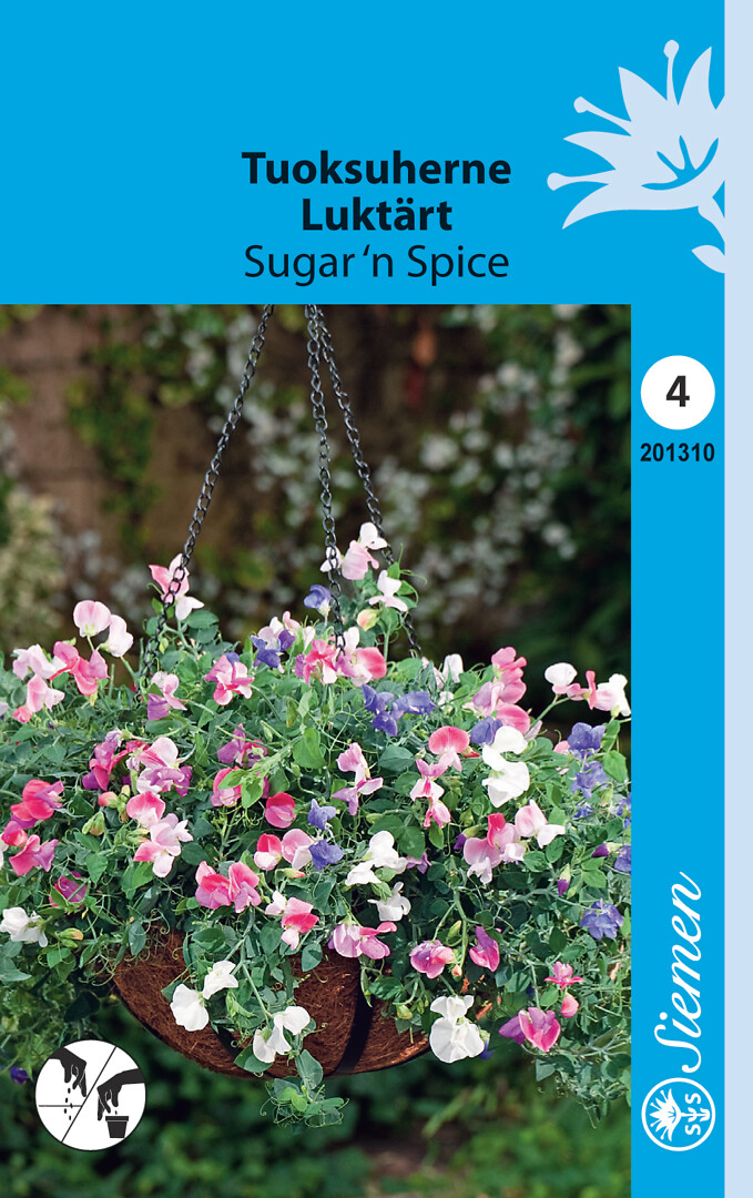 Tuoksuherne Sugar 'n Spice