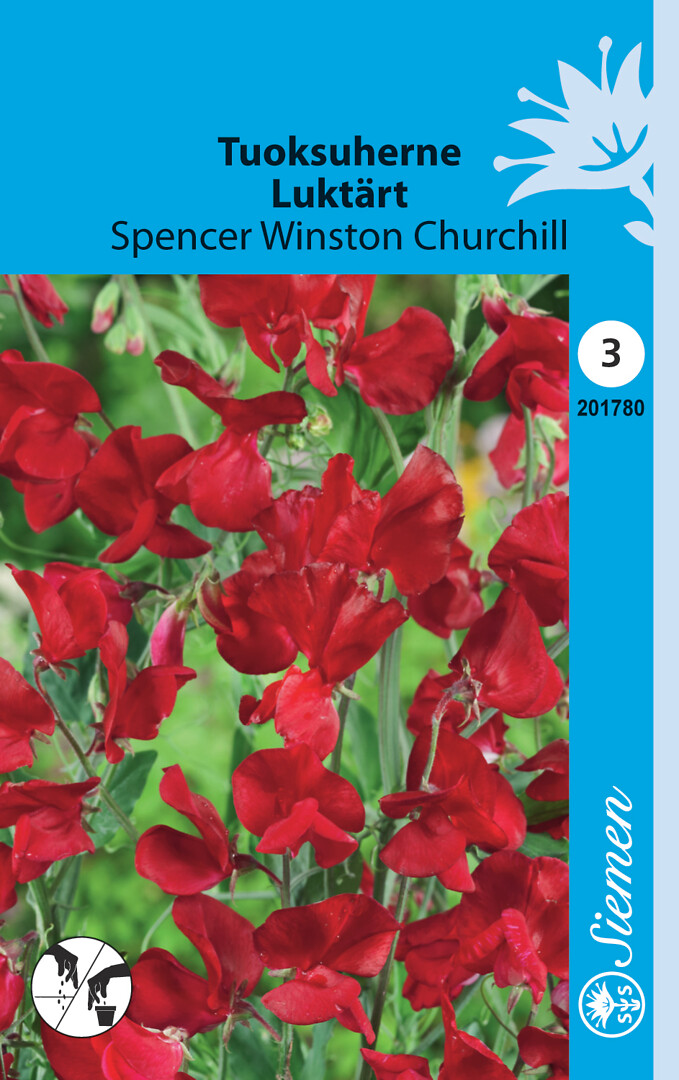 Tuoksuherne Spencer Winston Churchill