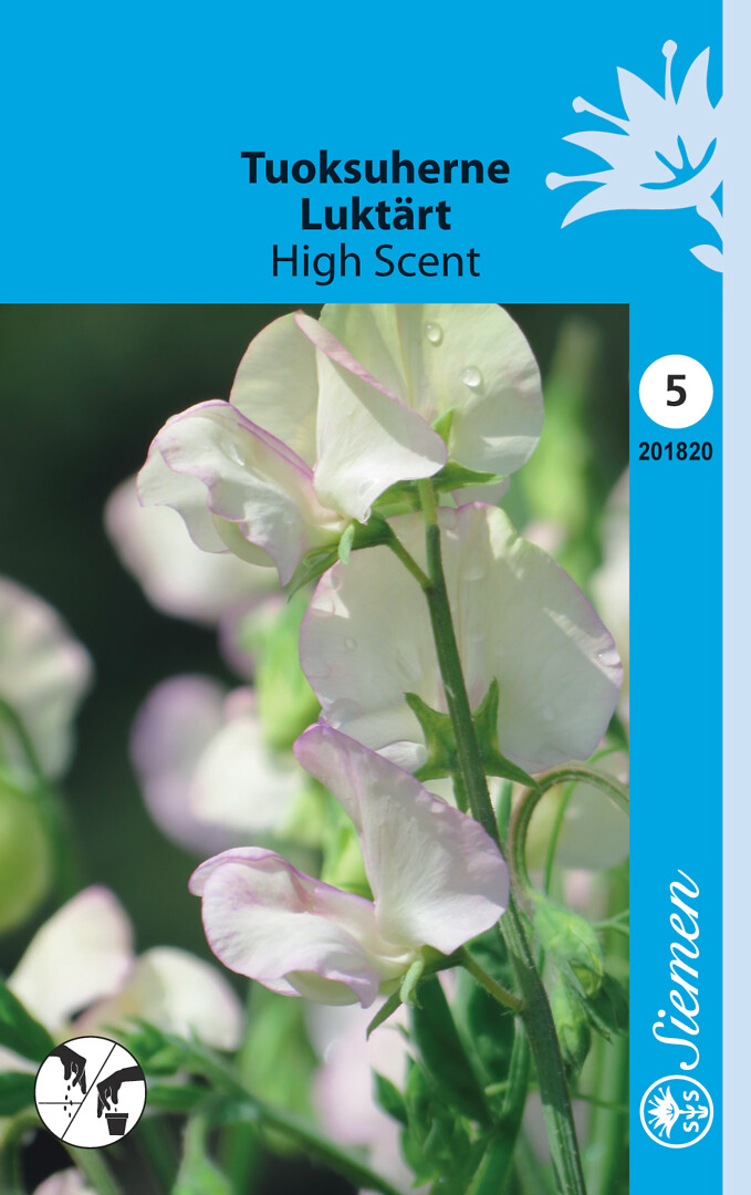 Tuoksuherne High Scent