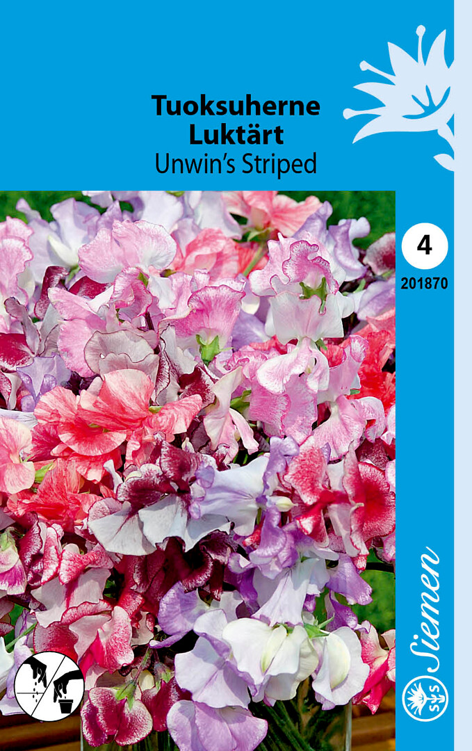 Tuoksuherne Unwin's Striped