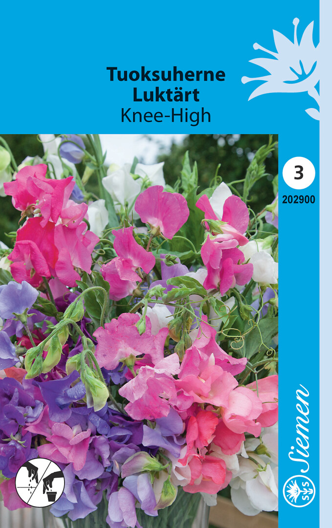Tuoksuherne Knee-High