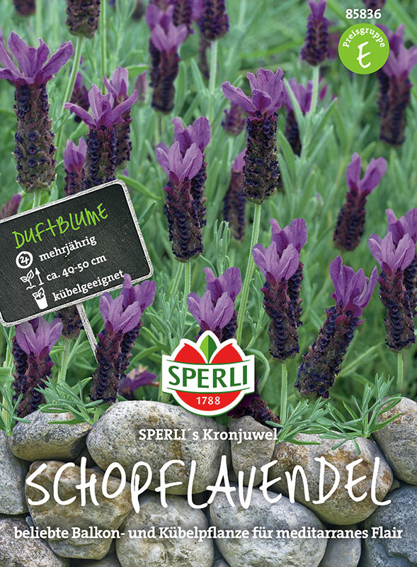 Tupsulaventeli Sperli's Kronjuwel