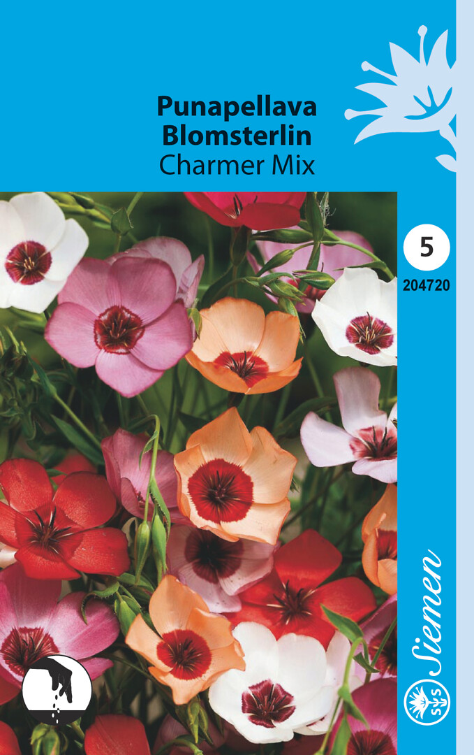 Punapellava Charmer Mix