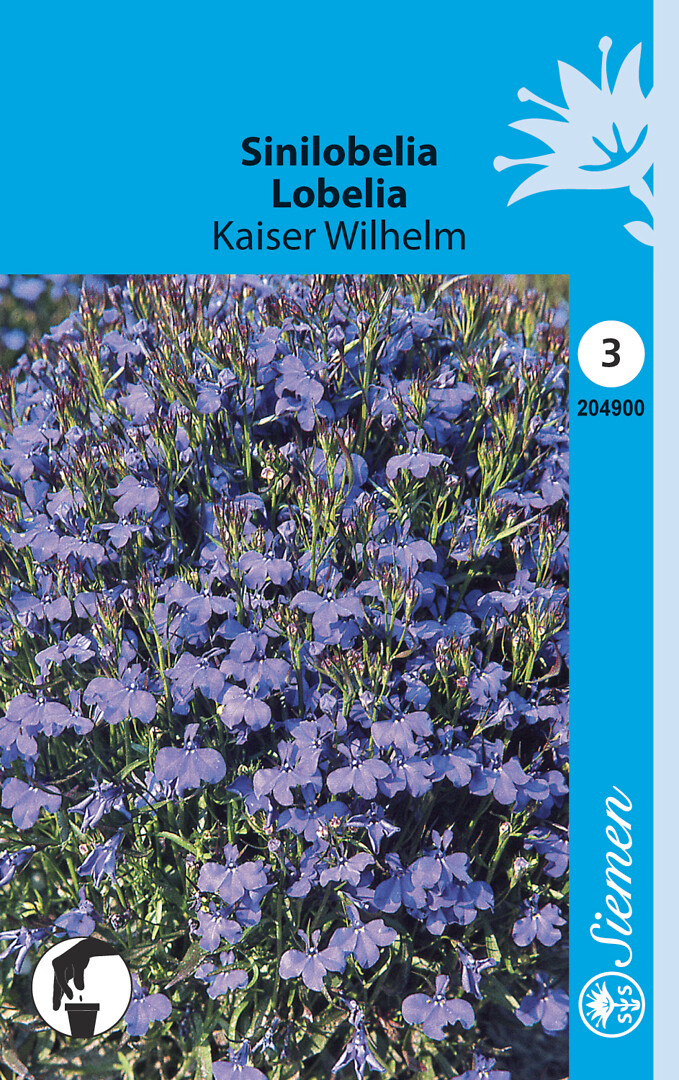 Sinilobelia Kaiser Wilhelm