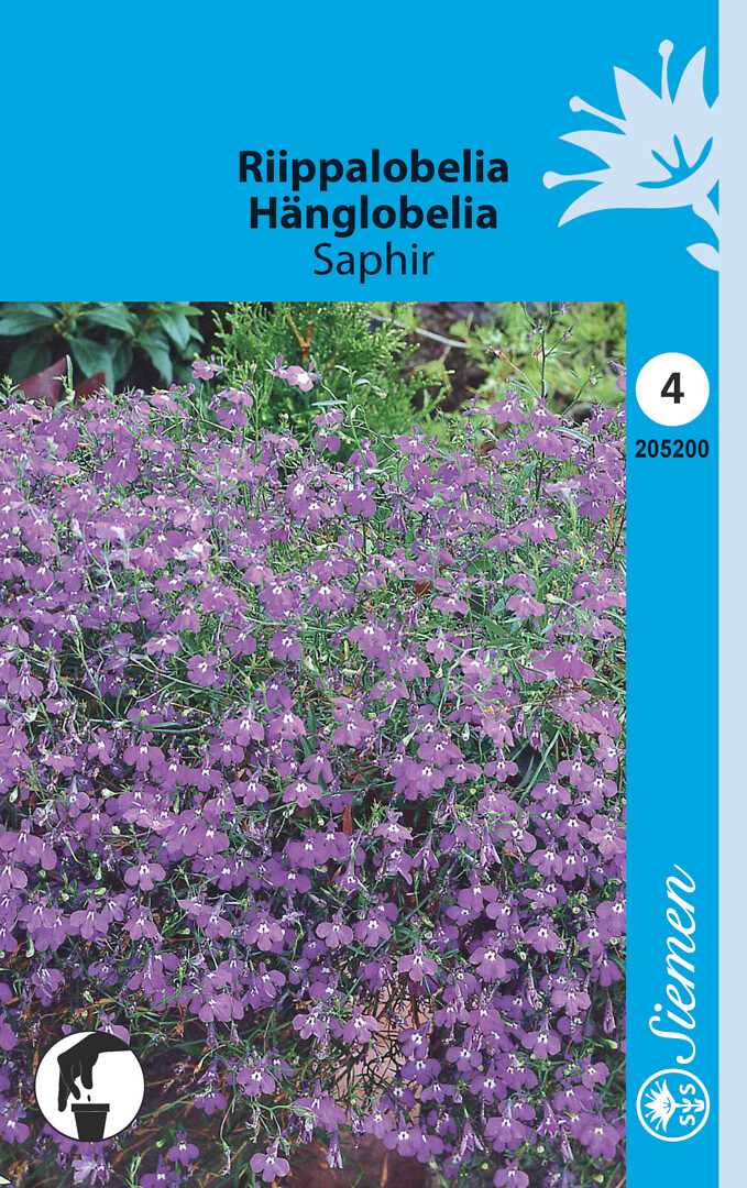 Riippalobelia Saphir