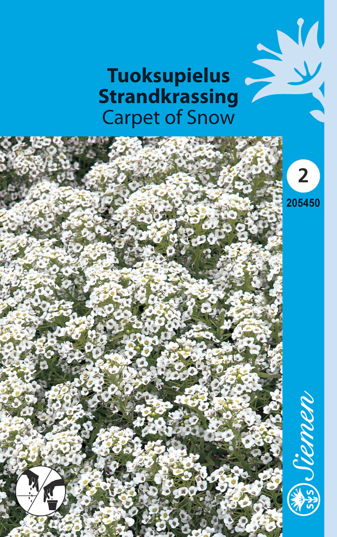 Tuoksupielus Carpet Of Snow