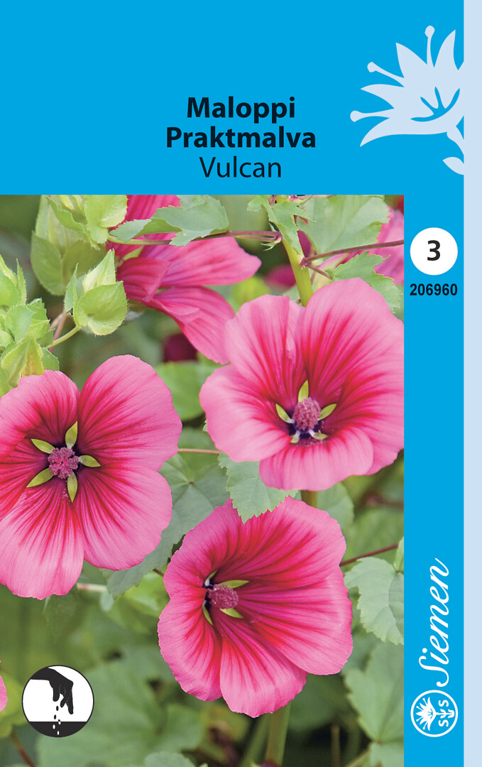 Maloppi Vulcan