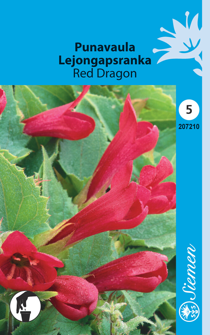 Punavaula Red Dragon