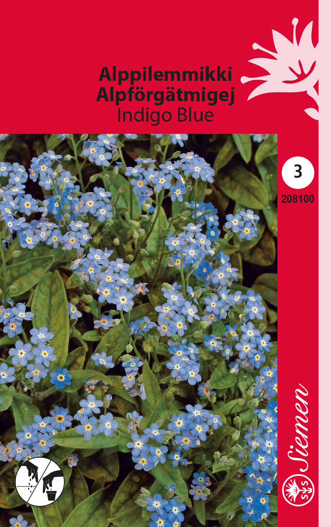 Alppilemmikki Indigo Blue
