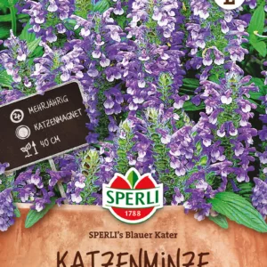 Mirrinminttu Sperli's Blauer Kater