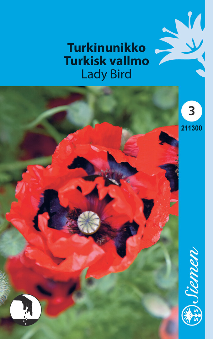 Turkinunikko Lady Bird