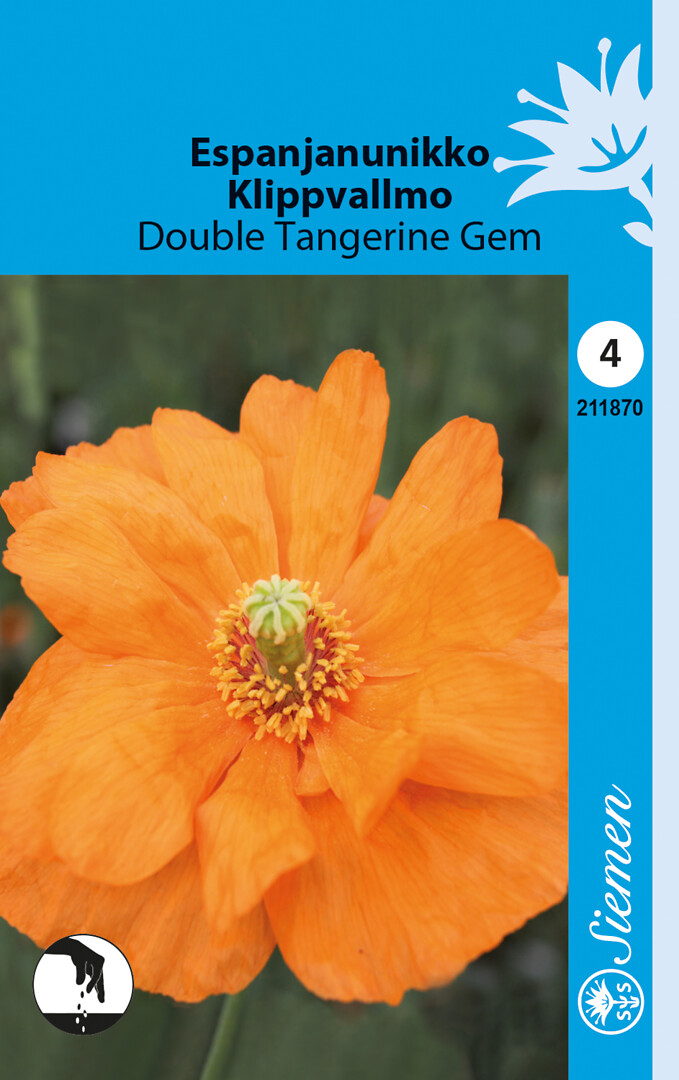 Espanjanunikko Double Tangerine Gem