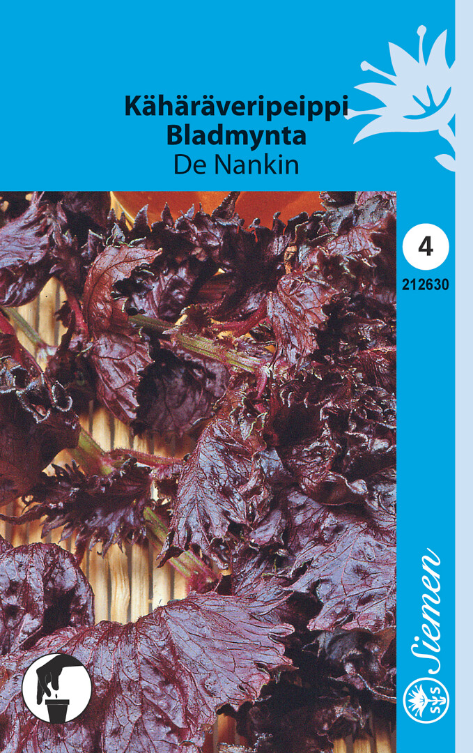 Kähäräveripeippi De Nankin