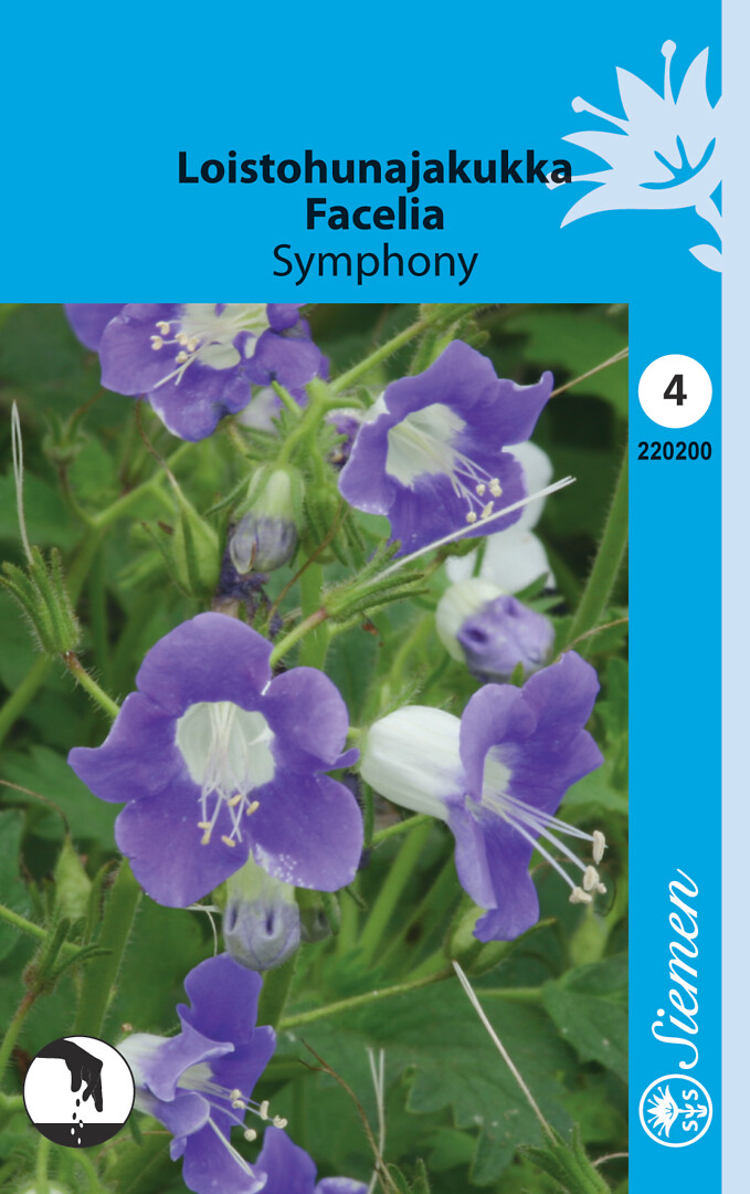 Loistohunajakukka Symphony