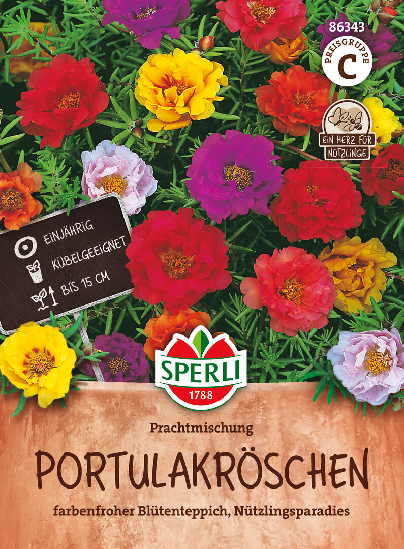 Koristeportulakka