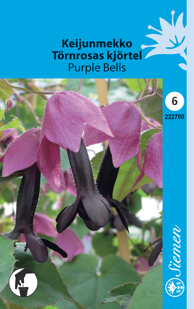 Keijunmekko Purple Bells