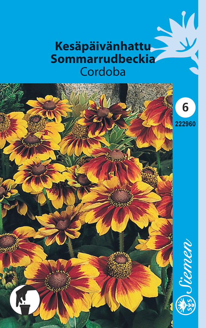 Kesäpäivänhattu Cordoba
